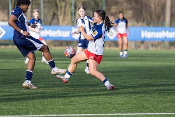 Bild 290 - wBJ Hamburger SV - Hertha BSC : Ergebnis: 2:1